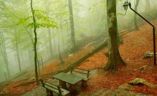 نمک آبرود نمک آبرود