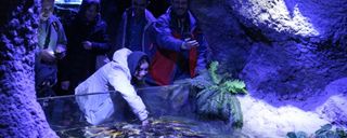 غار آکواریوم گنجنامه همدان غار آکواریوم گنجنامه همدان