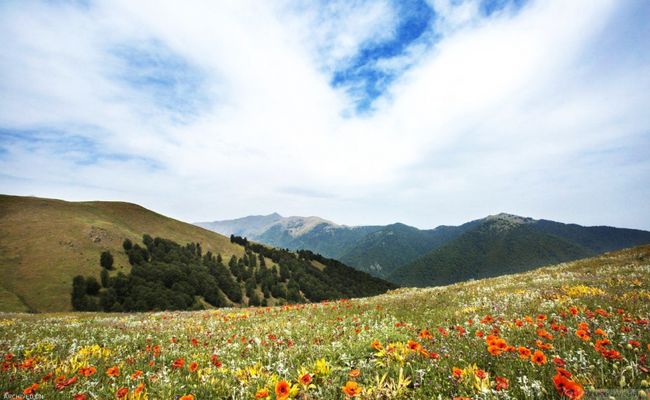 ییلاق سلانسر رستم آباد ییلاق سلانسر رستم آباد