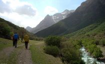 دره نی گاه دره نی گاه