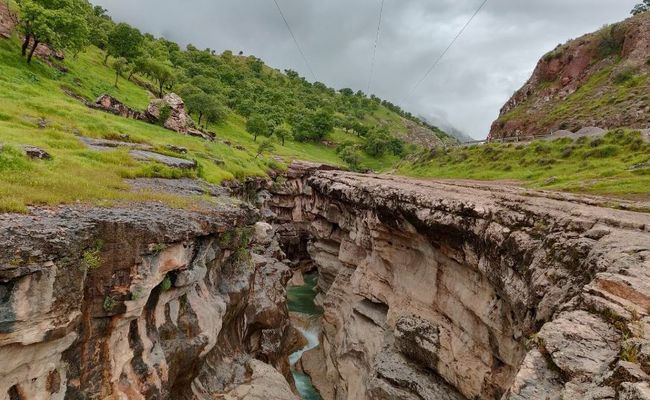 تنگ رازیانه تنگ رازیانه