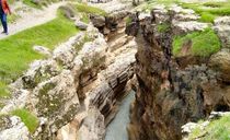 تنگ رازیانه تنگ رازیانه