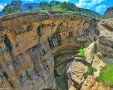 تنگ رازیانه تنگ رازیانه