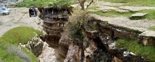 تنگ رازیانه تنگ رازیانه