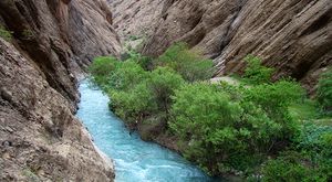 دره نی گاه دره نی گاه