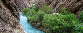 دره نی گاه دره نی گاه