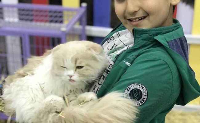 پارک نوازش تبریز پارک نوازش تبریز