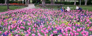 عکس پارک لاله تهران عکس پارک لاله تهران