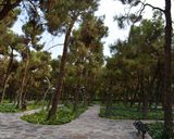 پارک لاله تهران پارک لاله تهران