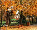 پارک لاله تهران در پاییز پارک لاله تهران در پاییز