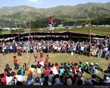 جشن سوسن های چلچراغ داماش جشن سوسن های چلچراغ داماش