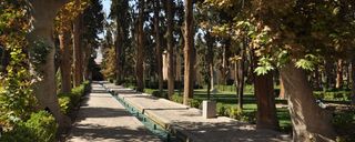 باغ فین کاشان باغ فین کاشان