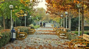 بوستان کوهسنگی مشهد بوستان کوهسنگی مشهد