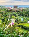 گاردنز بای د بی گاردنز بای د بی