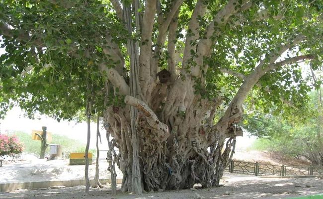 روستای رمین چابهار روستای رمین چابهار