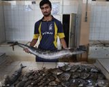 بازار ماهی فروش ها چابهار بازار ماهی فروش ها چابهار
