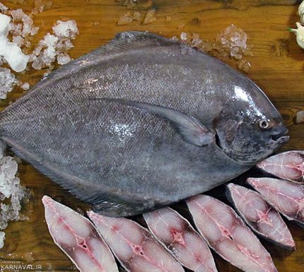 ماهی حلوای سفید | Photo by : Unknown