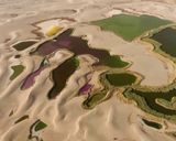 تالاب پساب یزد تالاب پساب یزد