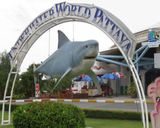 آکواریوم دنیای زیر آب پاتایا آکواریوم دنیای زیر آب پاتایا