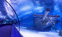 آکواریوم آنتالیا آکواریوم آنتالیا