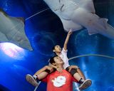 آکواریوم دنیای زیر آب پاتایا آکواریوم دنیای زیر آب پاتایا