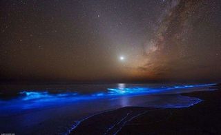 ساحل نورانی تنگ چابهار ساحل نورانی تنگ چابهار