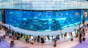 دبی مال دبی مال