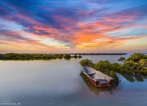 جنگل حرای قشم جنگل حرای قشم