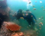 کلبه غواصی چابهار کلبه غواصی چابهار