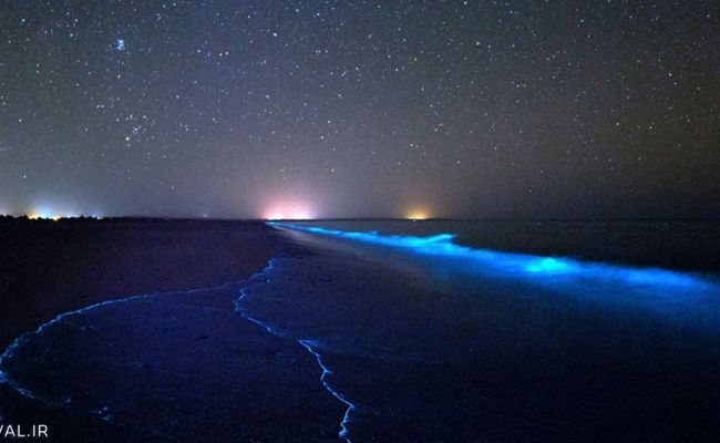 ساحل نورانی تنگ چابهار ساحل نورانی تنگ چابهار