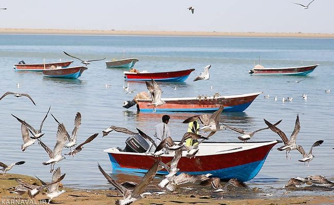 خلیج گواتر چابهار خلیج گواتر چابهار