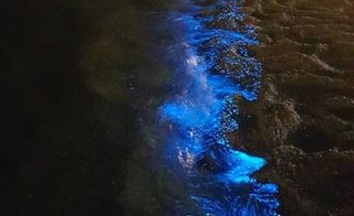 ساحل نورانی تنگ چابهار ساحل نورانی تنگ چابهار