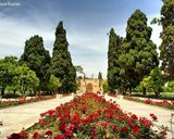 باغ جهان نما شیراز باغ جهان نما شیراز