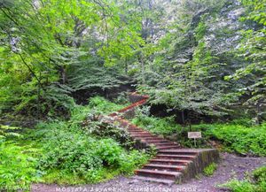 پارک جنگلی کشپل پارک جنگلی کشپل