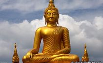 محوطه اطراف مجسمه محوطه اطراف مجسمه