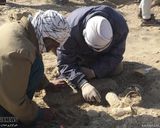 کاوش در شهر سوخته کاوش در شهر سوخته