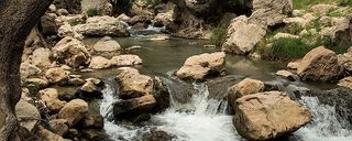 باغ موزه هرندی باغ موزه هرندی