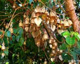 محوطه اطراف مجسمه محوطه اطراف مجسمه