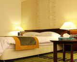 هتل ارگ جدید بم هتل ارگ جدید بم