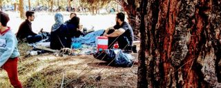 پارک جنگلی باهنر کرمان پارک جنگلی باهنر کرمان