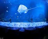 مرکز خرید سنترال پوکت تایلند مرکز خرید سنترال پوکت تایلند