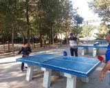 پارک جنگلی باهنر کرمان پارک جنگلی باهنر کرمان