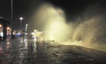 پارک سیادت بوشهر پارک سیادت بوشهر