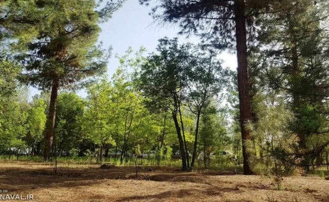 پارک جنگلی باهنر کرمان پارک جنگلی باهنر کرمان