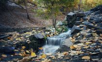 رودخانه کنگ رودخانه کنگ