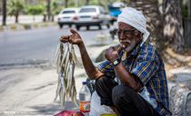 بازار ماهی فروشها بندرعباس بازار ماهی فروشها بندرعباس