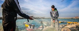 اسکله جفره اسکله جفره