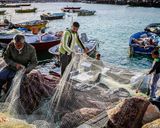 اسکله جفره اسکله جفره