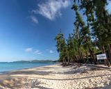 ساحل بانگ تائو پوکت ساحل بانگ تائو پوکت