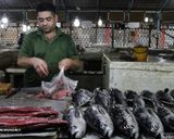 بازار ماهی فروشها بندرعباس بازار ماهی فروشها بندرعباس